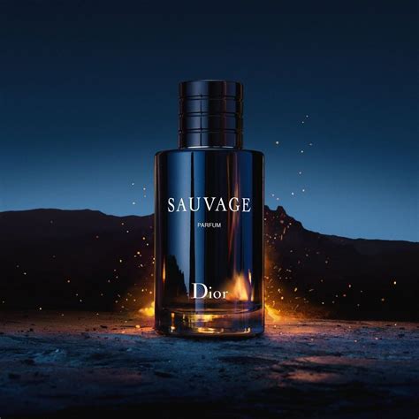 dior sauvage edp vs elixir|is dior sauvage worth it.